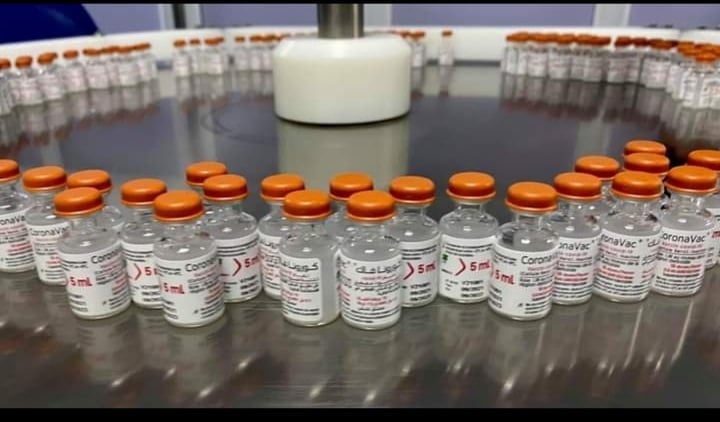 243560233_546403116660698_5015005858111871335_n