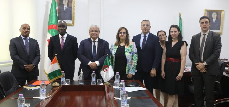 promouvoir la coopération continentale pour favoriser le développement d&rsquo;une industrie pharmaceutique africaine complémentaire et intégrée